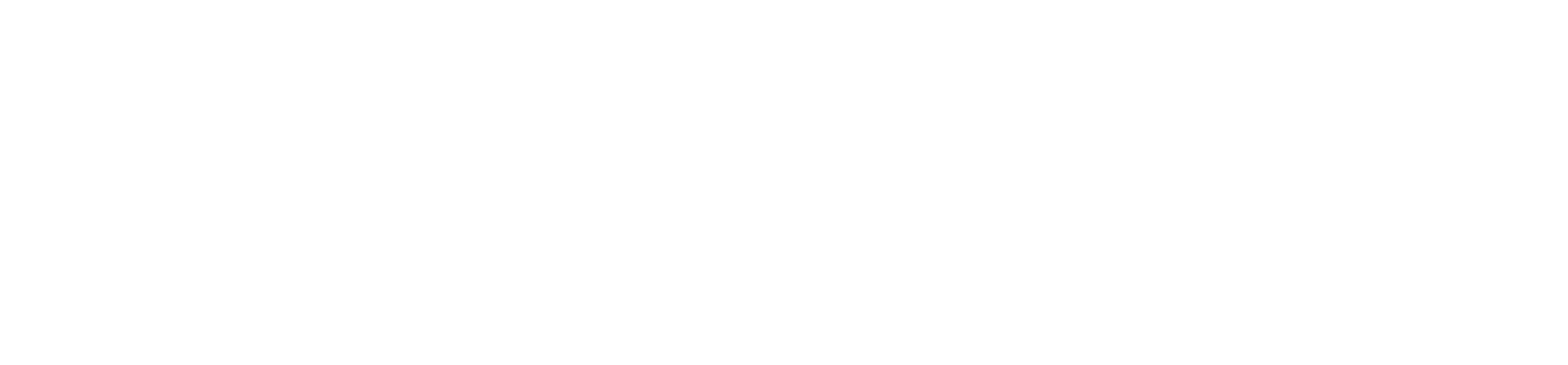Burson logo